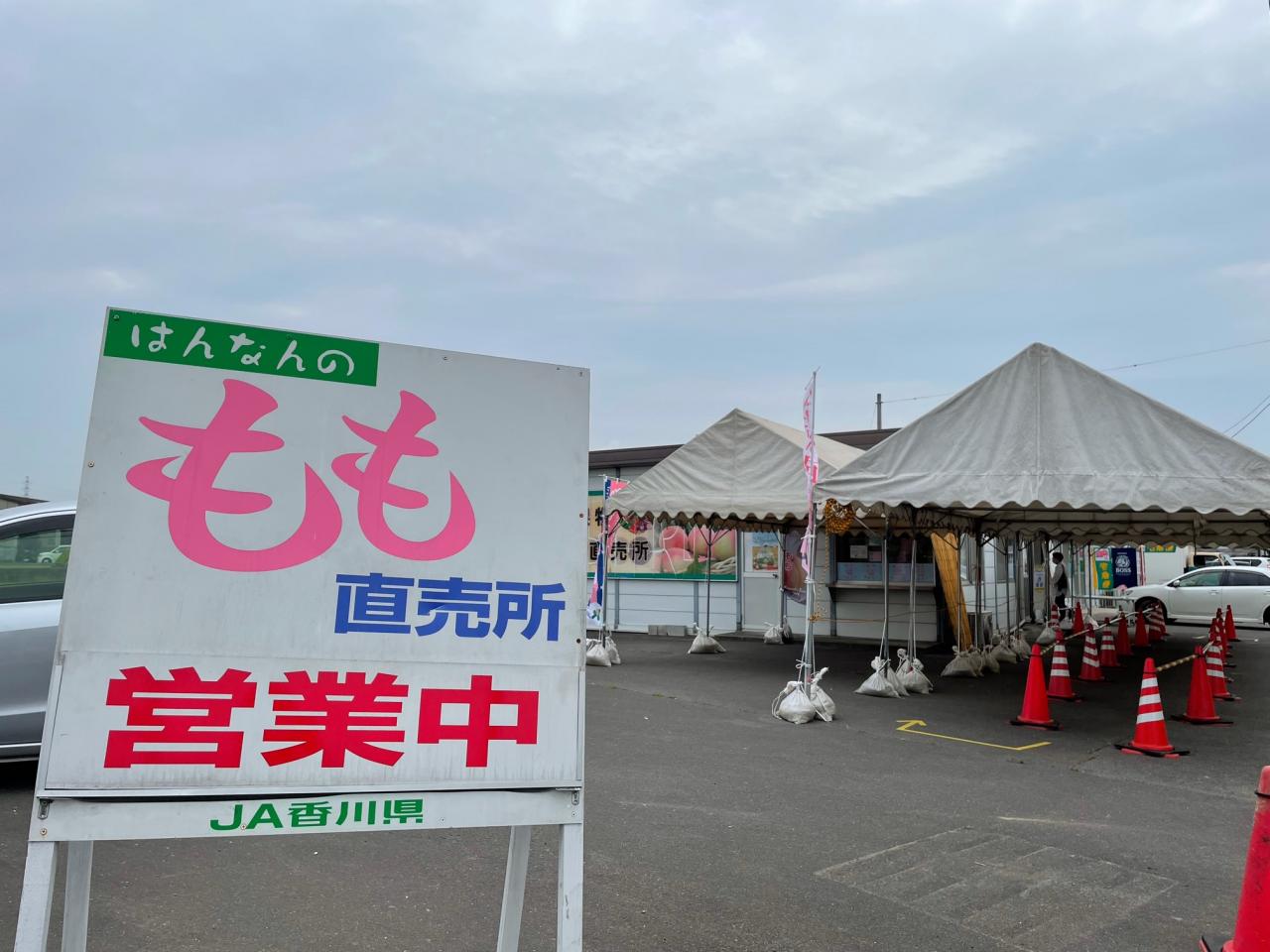 飯南のモモ 香川県高松市メンズカットならヘアーサ ロンイケハラ ヘアーサロンイケハラ